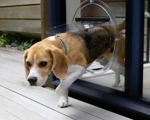 pet doors